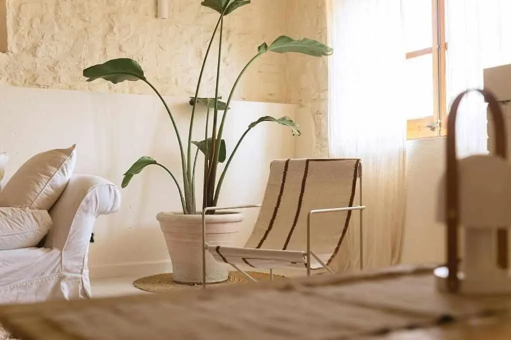 Apartment Estudio Niu Lohodihomes Girona